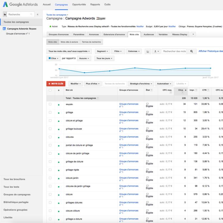 Campagne Google Adwords référencement Toulouse